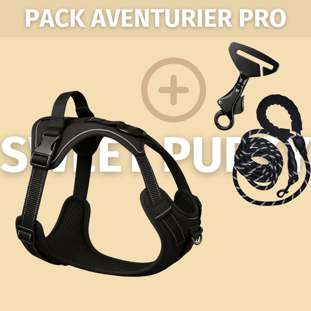 Harnais Anti-Traction pour chien