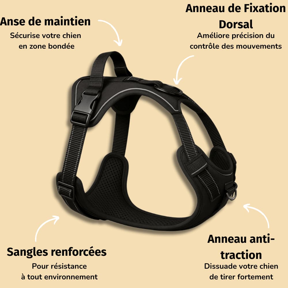Harnais Anti-Traction pour chien