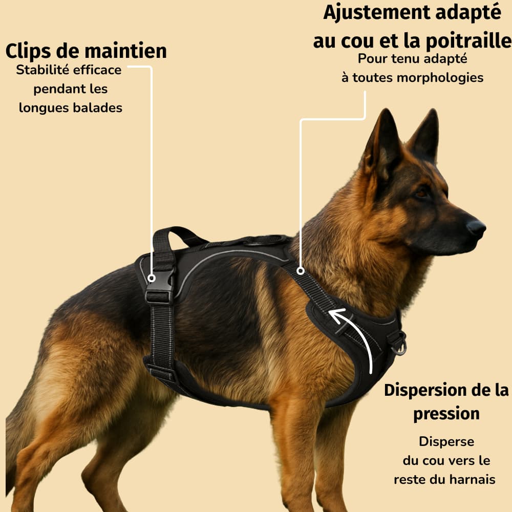 Harnais Anti-Traction pour chien
