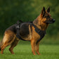 Harnais Anti-Traction pour chien