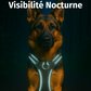 Harnais Anti-Traction pour chien